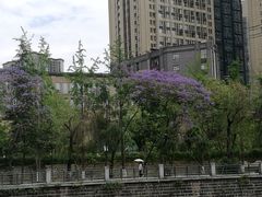 -成都市活水公园