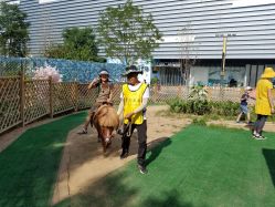 -萌宠亲子动物乐园(槐房万达店)