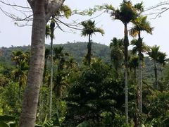 -三亚南山文化旅游区