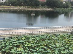 -箸福·夜上海(月牙湖公园店)