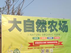 -大自然农场蔬菜草莓采摘园