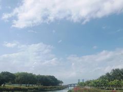 -万绿园