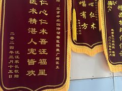 -中农国际动物医院24小时·猫科·骨科·急重症中心