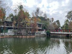 -荔湾湖公园