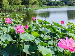 -上海市保健医疗中心