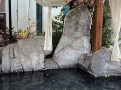 -金孔雀温泉旅游度假村