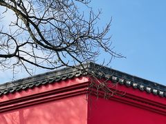 -峨眉山报国寺