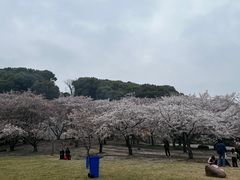 -苏州上方山国家森林公园