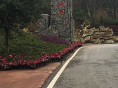 -木兰云雾山