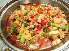 石锅鱼-虎虎龙虾大排档(双井店)