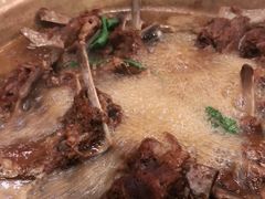 -芦月轩羊蝎子(北蜂窝店)