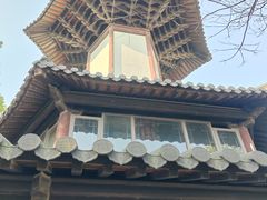 -上海佘山国家森林公园天马山园