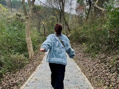 -青龙山国家森林公园