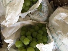 -马陆小张葡萄园农家乐