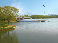 -大兴滨河森林公园