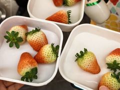 -神帆·元气汤泉(解放西路店)