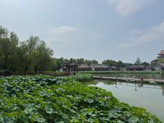-大明幻境第一城
