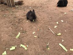 -鄂尔多斯野生动物园