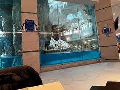 -帝企鹅自助餐厅•儿童岛•真企鹅(长隆企鹅酒店)