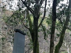 -黄山温泉国际旅游度假区