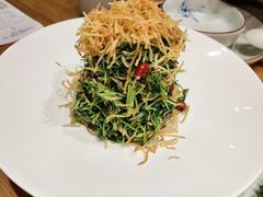 巧拌豆苗-四季民福烤鸭店(前门廊房二条店)