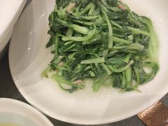 -老吉士酒家(丁香国际店)