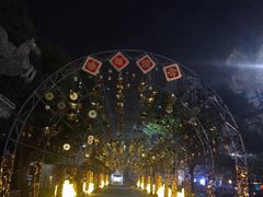 -锦江乐园舞狸花花游园会(夜场专享)