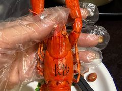 招牌蓝龙-长沙文和友(海信广场店)