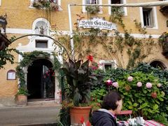 -布劳伽斯特豪夫哈尔施塔特宾馆