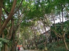 -巴山一绝烤全羊(三圣乡刘家花园店)