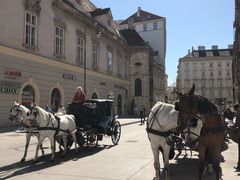 -斯蒂芬主教座堂(Stephansdom)