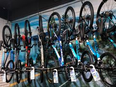 -GIANT捷安特自行车专卖店(金桥台儿庄路店)