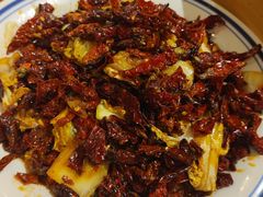-福苗小骆驼烧烤(大唐不夜城店)