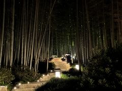 -杭州黄龙洞