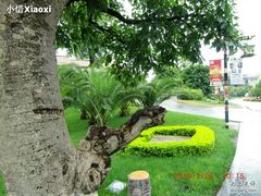 照片-西昌邛海宾馆