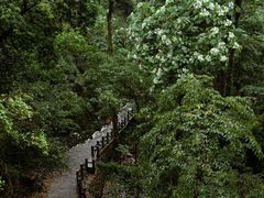 -雁荡山三折瀑景区