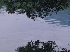 -紫阳古街
