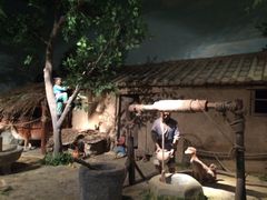 -平顶山博物馆