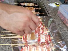 -吴淞炮台湾湿地森林公园烧烤区