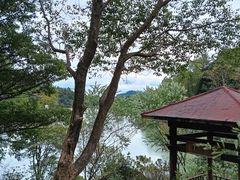 -广州白江湖森林公园