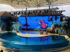 -三亚海昌梦幻海洋不夜城