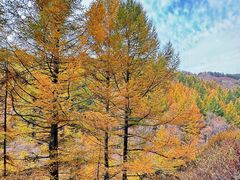 -苏木山森林公园