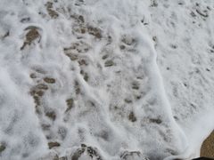 -白沙湾海滩