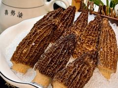 -喜聚薈·花膠雞海鮮火鍋(越秀店)