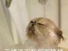 -重庆欢乐海底世界
