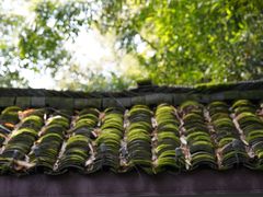 -成都杜甫草堂博物馆