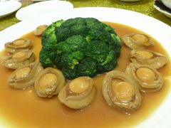 鲍鱼-名门金宴