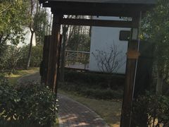 -上海海湾国家森林公园