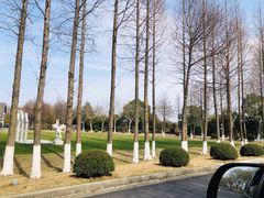 -太阳岛度假酒店