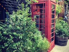 -The Grounds of Alexandria